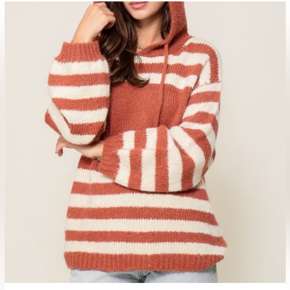 Lumiere Striped Sweater with Hood NWT